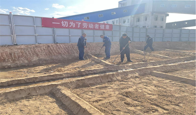 选煤公司:开垦职工“小菜园” 为职工健康“加餐”